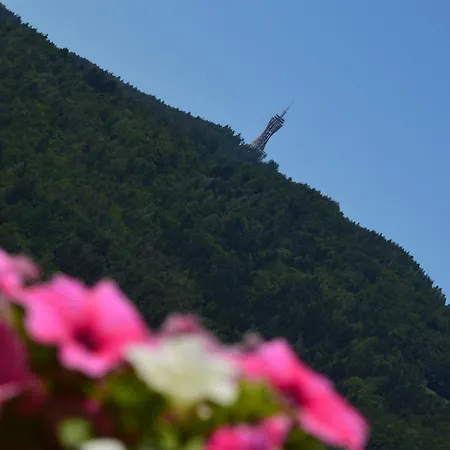 Safronhof Bed & Breakfast Reifnitz