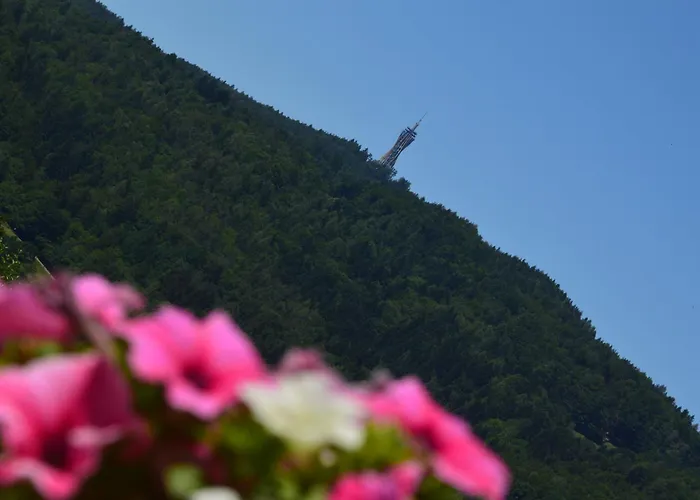 Safronhof Nocleg ze śniadaniem Reifnitz